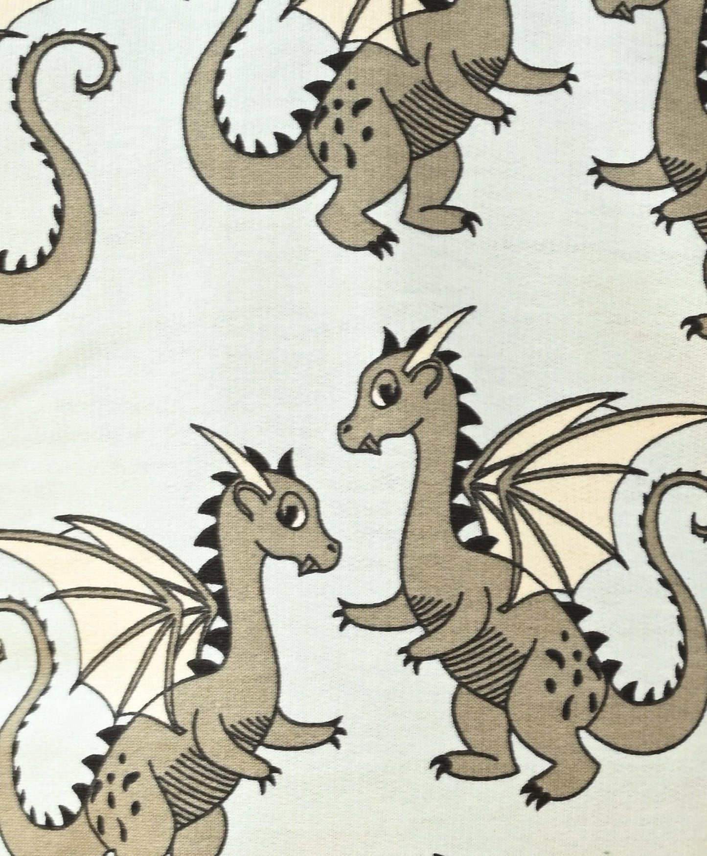 DRAGON BOYS TERRY SWEATSHIRT - GREY