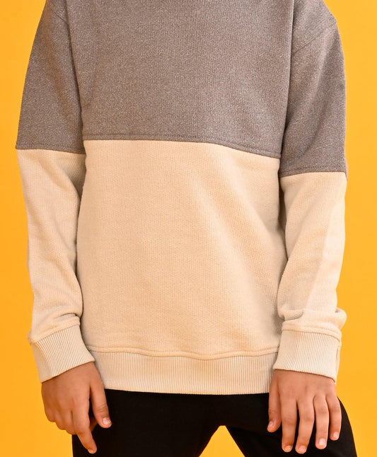 STONE GREY CUT N SEW BOYS FLEECE SWEATSHIRT - GREY BEIGE