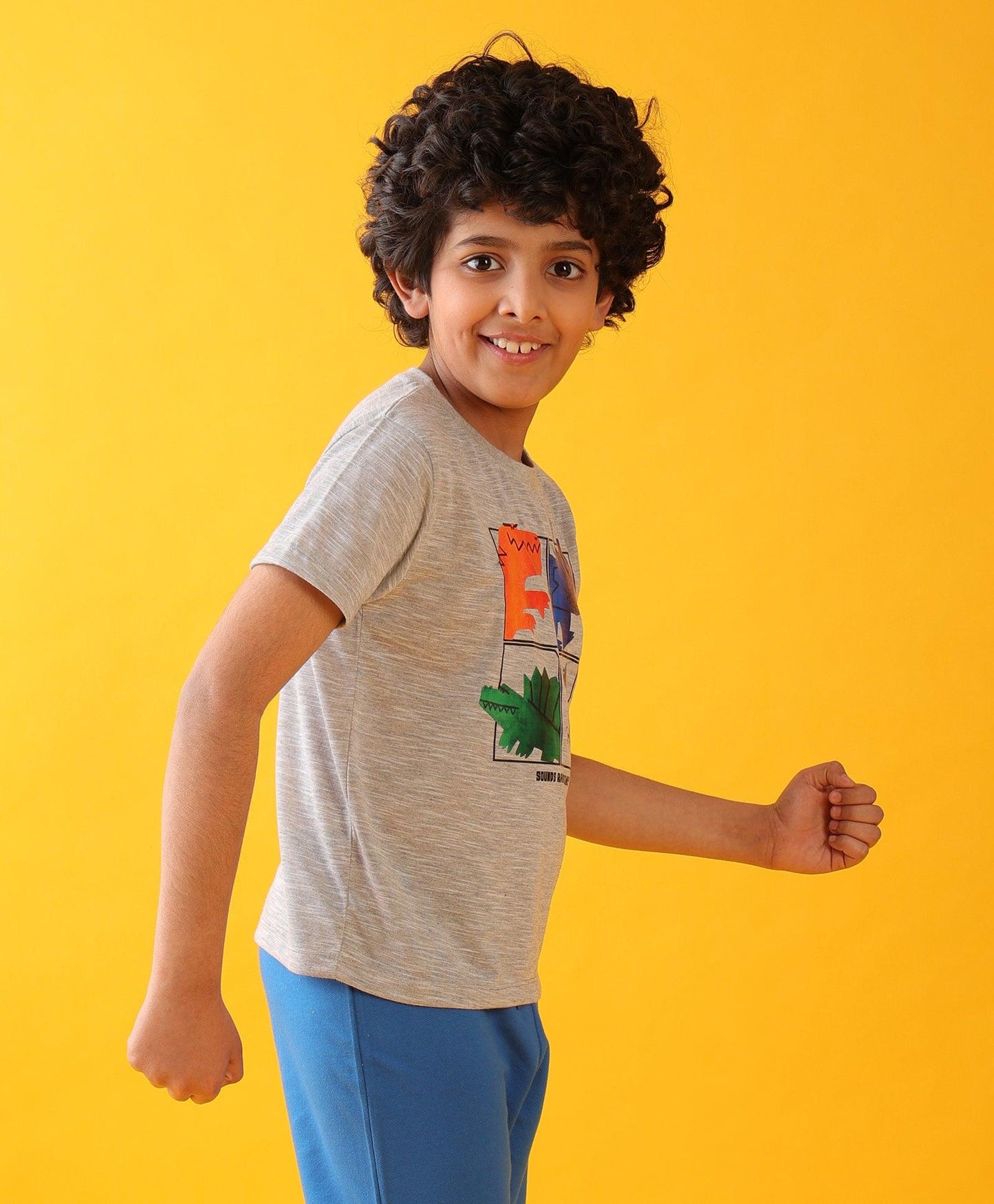 RAWRSOME DINO SHORT SLEEVE BOYS T-SHIRT - GREY