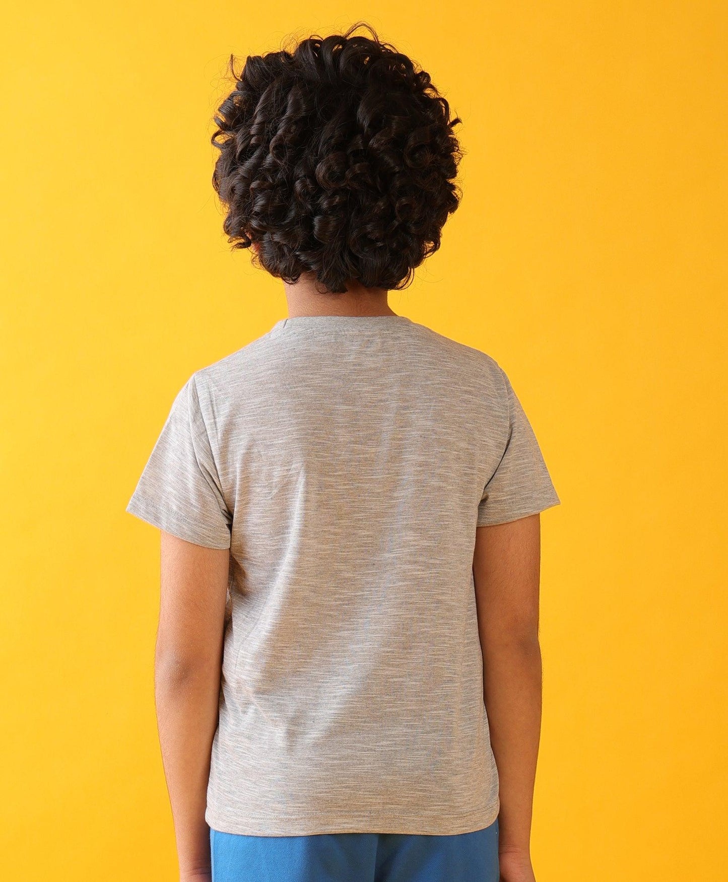 RAWRSOME DINO SHORT SLEEVE BOYS T-SHIRT - GREY