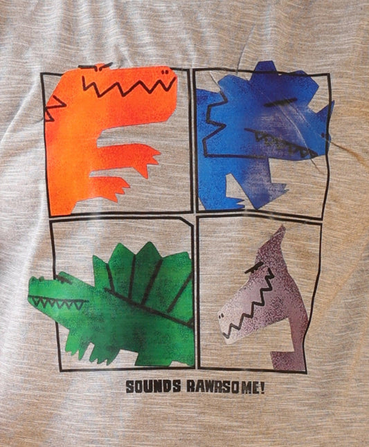 RAWRSOME DINO SHORT SLEEVE BOYS T-SHIRT - GREY
