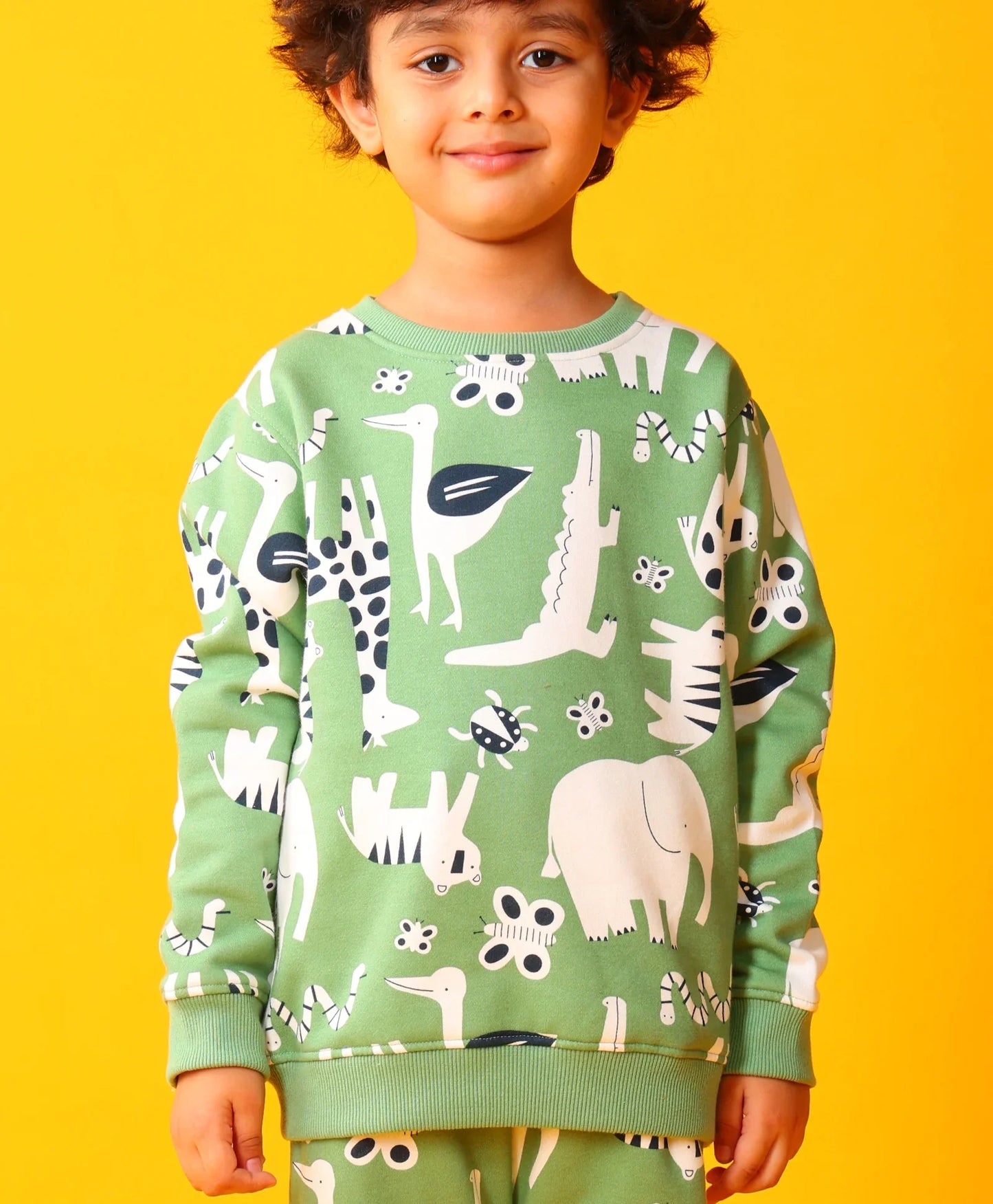 ANIMAL GREEN FLEECE BOYS SWEATSHIRT JOGGER SET - GREEN