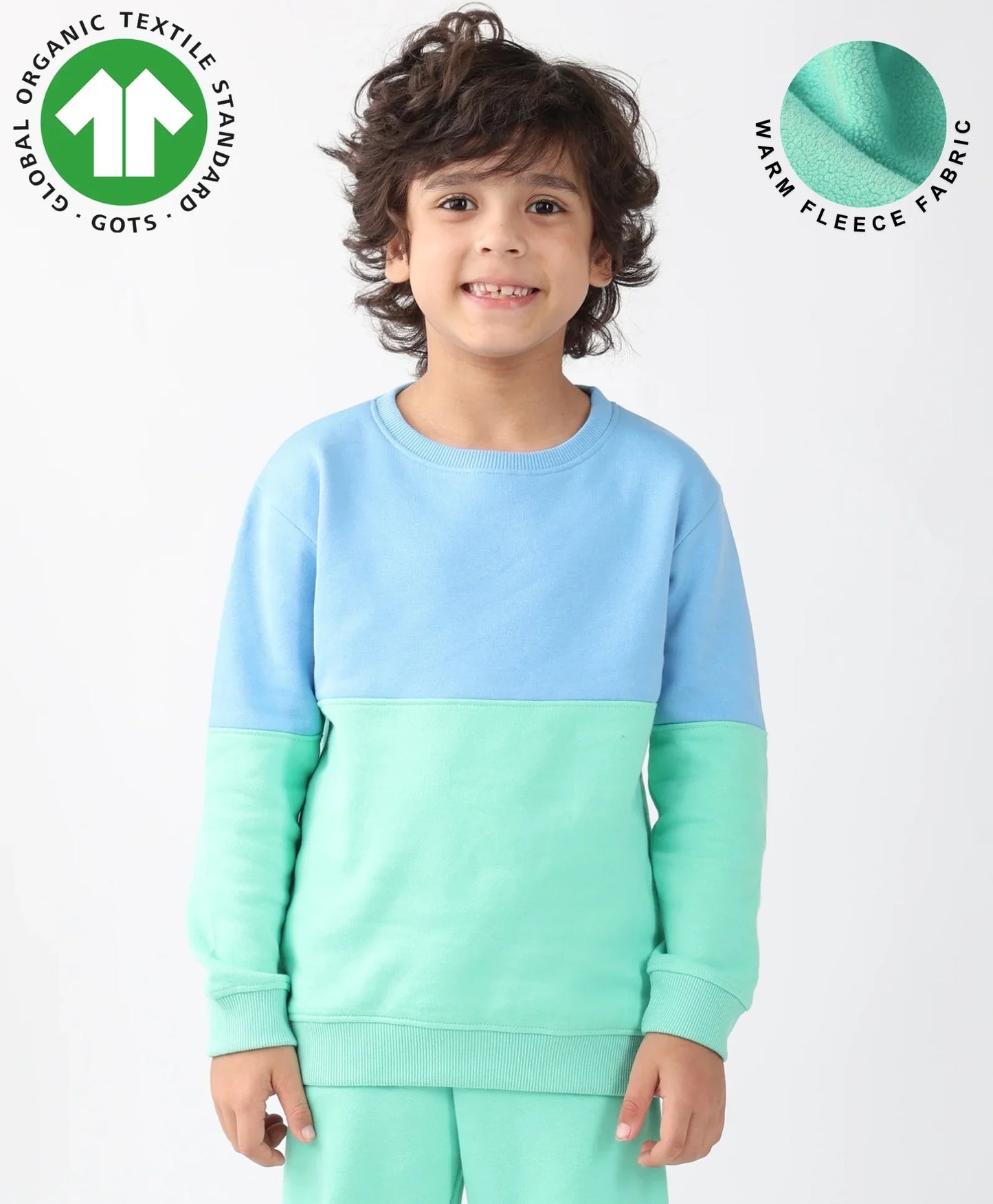 BLUE GREEN COLOR BLOCK BOYS FLEECE SWEATSHIRT - BLUE/GREEN
