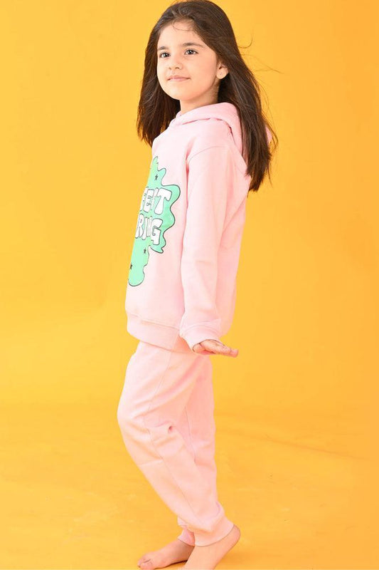 PERFECT IS BORING FLEECE HOODIE SWEATSHIRT - PINK - Anthrilo Design House