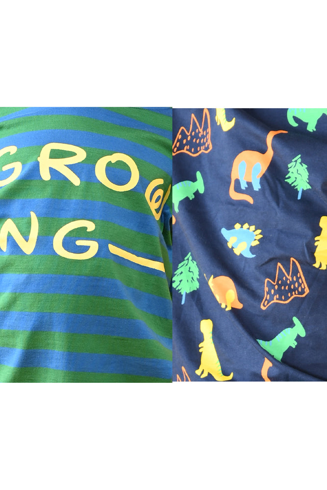 GROWING STRIPED AND DINOSAUR FUN NAVY LONG SLEEVE PYJAMA SET (PACK OF 2) - Anthrilo India