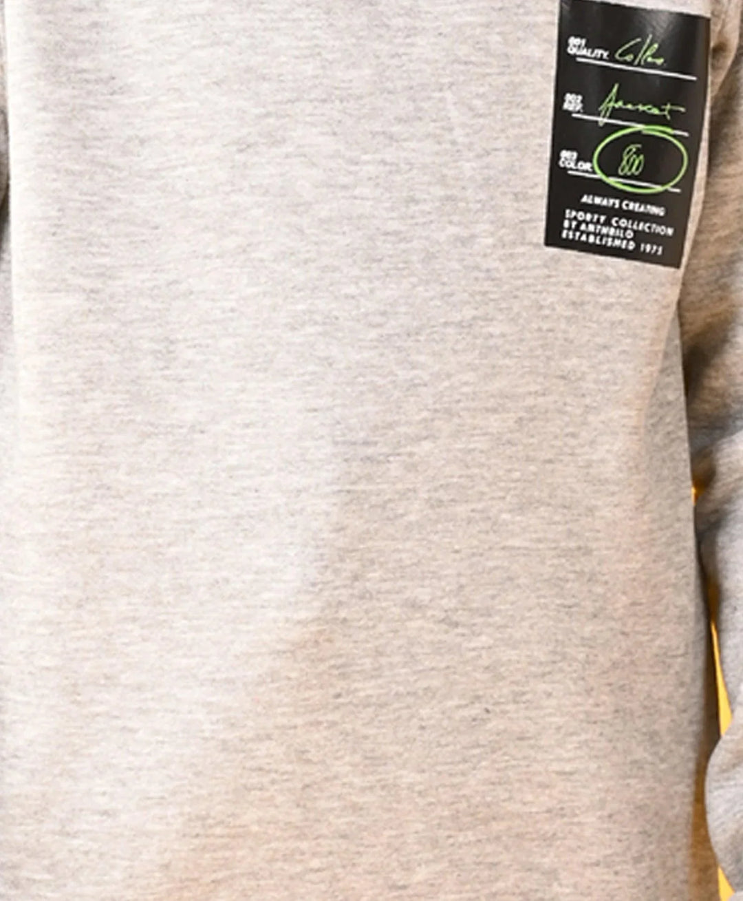 SPORTY COLLECTION FLEECE BOYS HOODIE - GREY - Anthrilo 