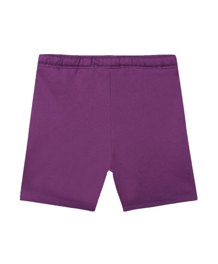 Basketball Dark Purple Boys Shorts - Purple