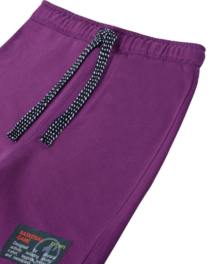 Basketball Dark Purple Boys Shorts - Purple