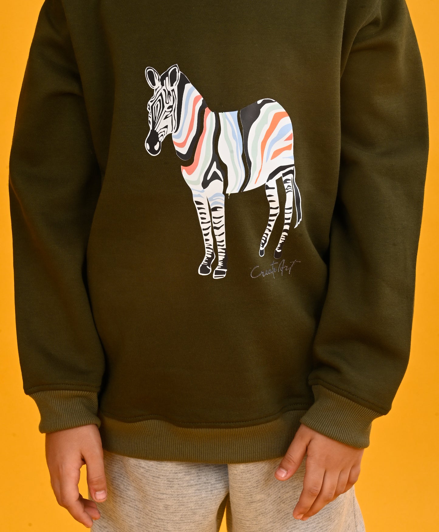 DARK OLIVE  ZEBRA BOYS FLEECE SWEATSHIRT