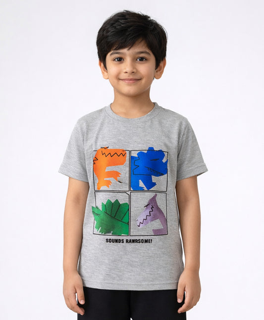 RAWRSOME DINO SHORT SLEEVE BOYS T-SHIRT - GREY