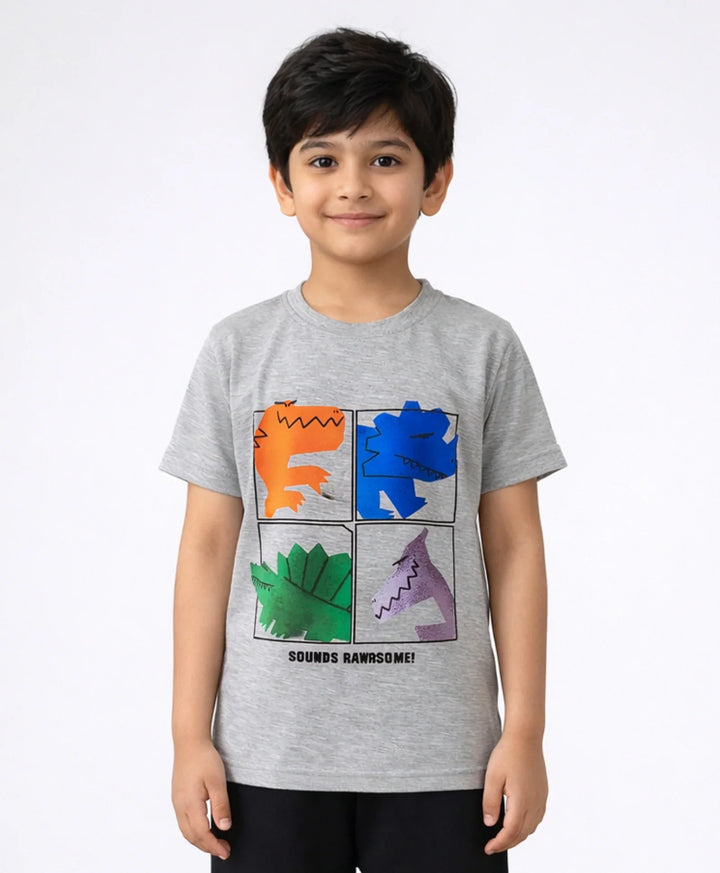 Rawrsome Dino Short Sleeve Boys T-Shirt - Grey