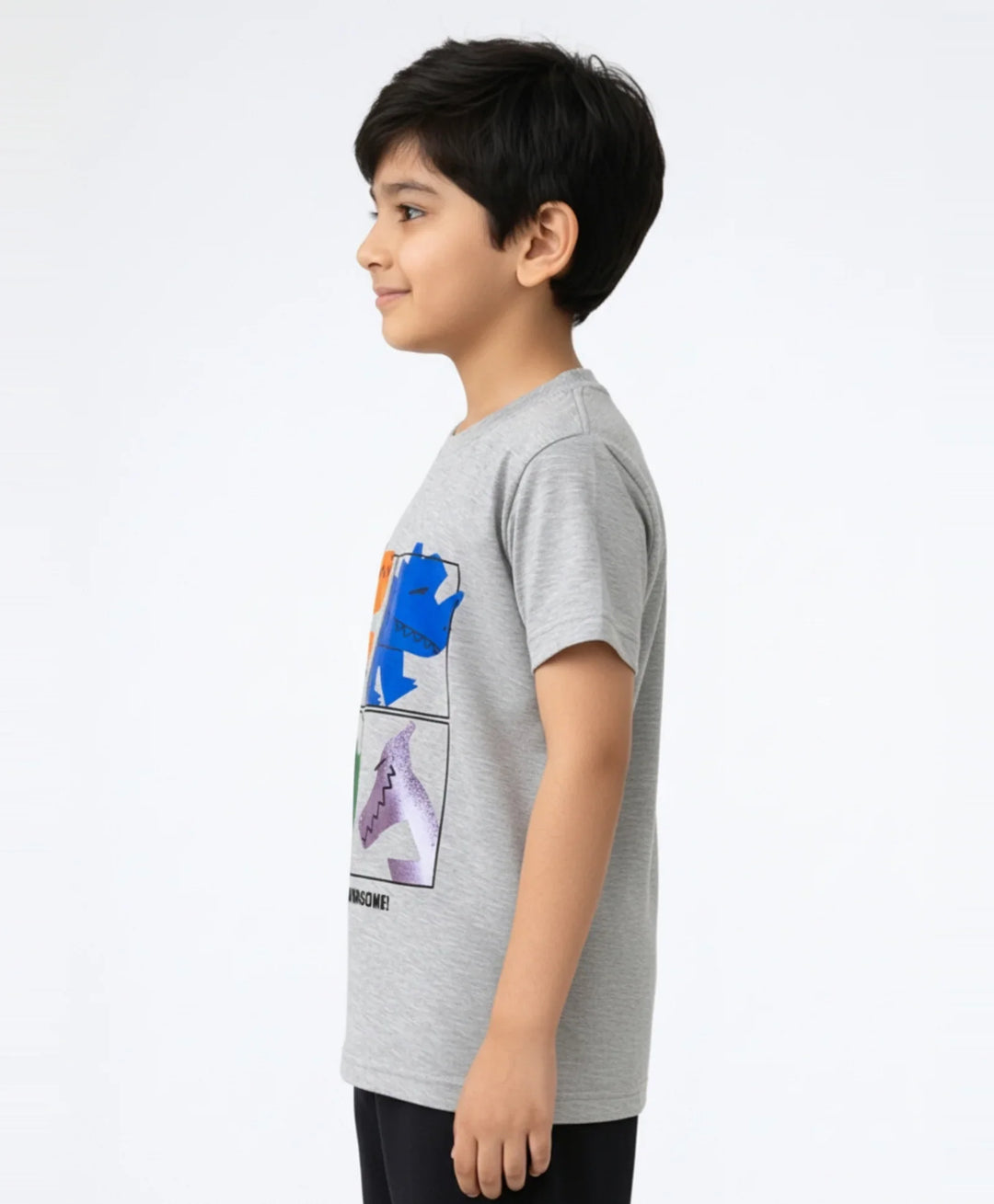 Rawrsome Dino Short Sleeve Boys T-Shirt - Grey