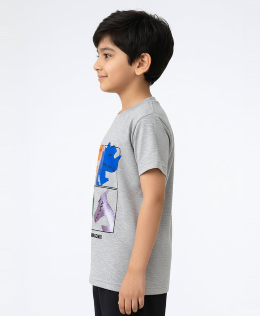 RAWRSOME DINO SHORT SLEEVE BOYS T-SHIRT - GREY