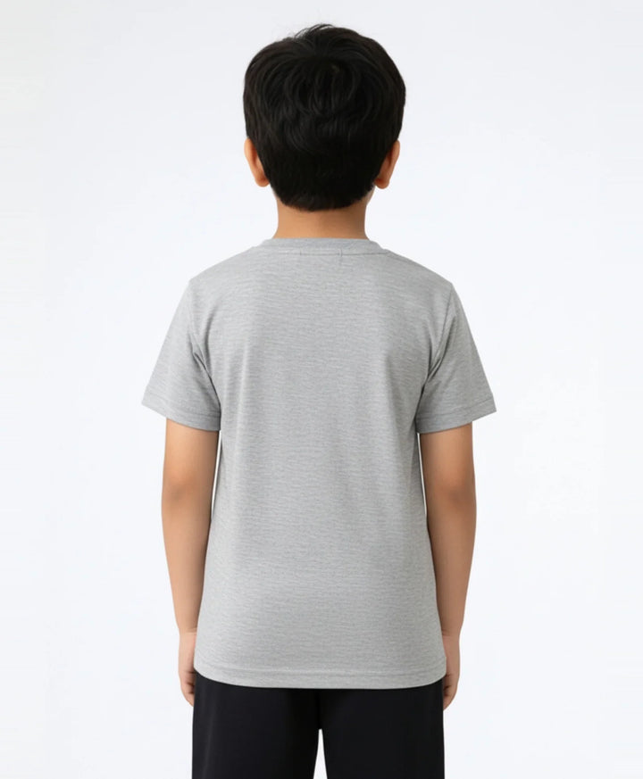 Rawrsome Dino Short Sleeve Boys T-Shirt - Grey