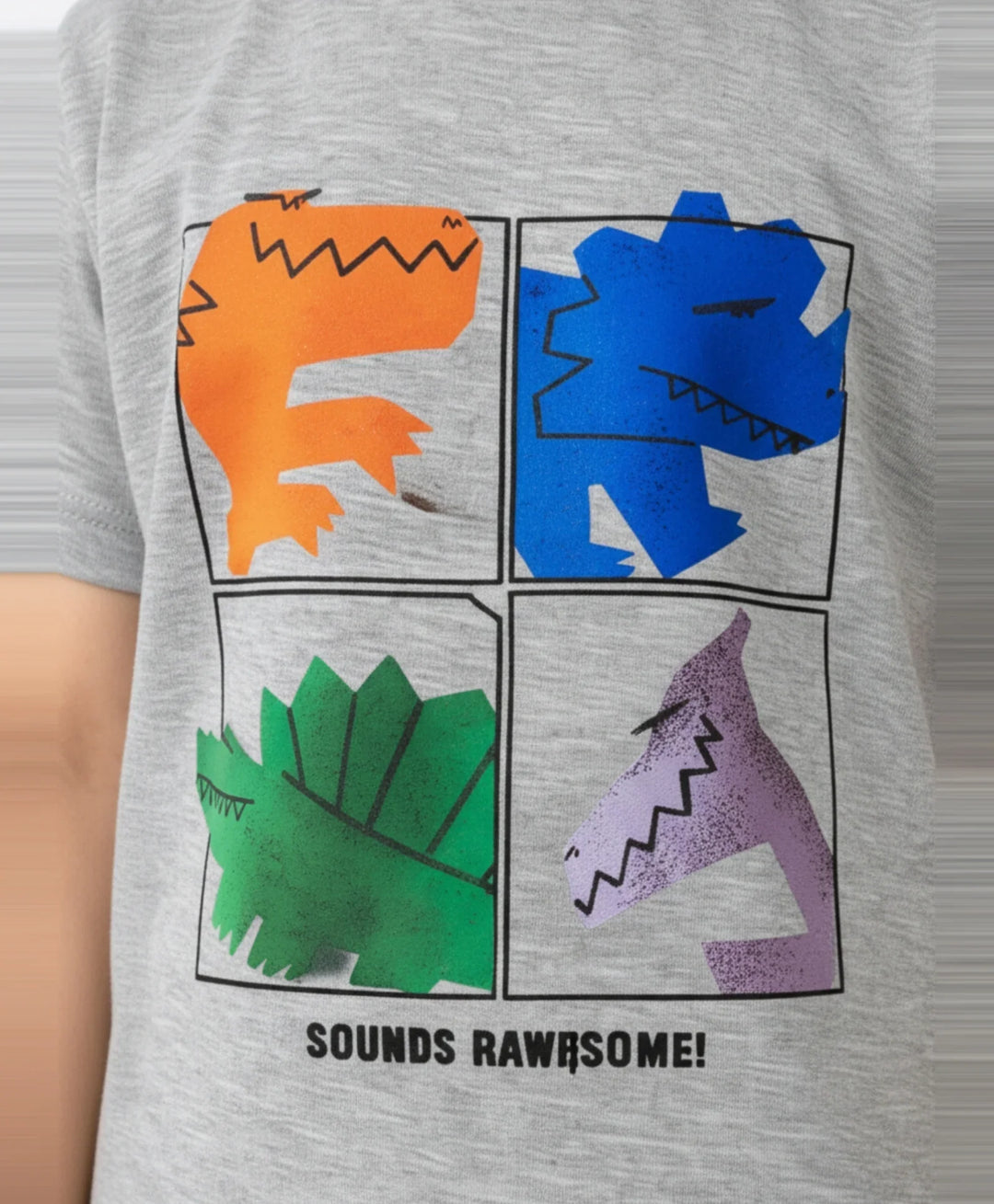 Rawrsome Dino Short Sleeve Boys T-Shirt - Grey