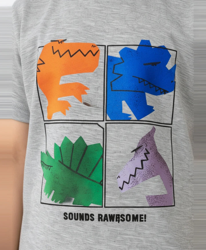 Rawrsome Dino Short Sleeve Boys T-Shirt - Grey