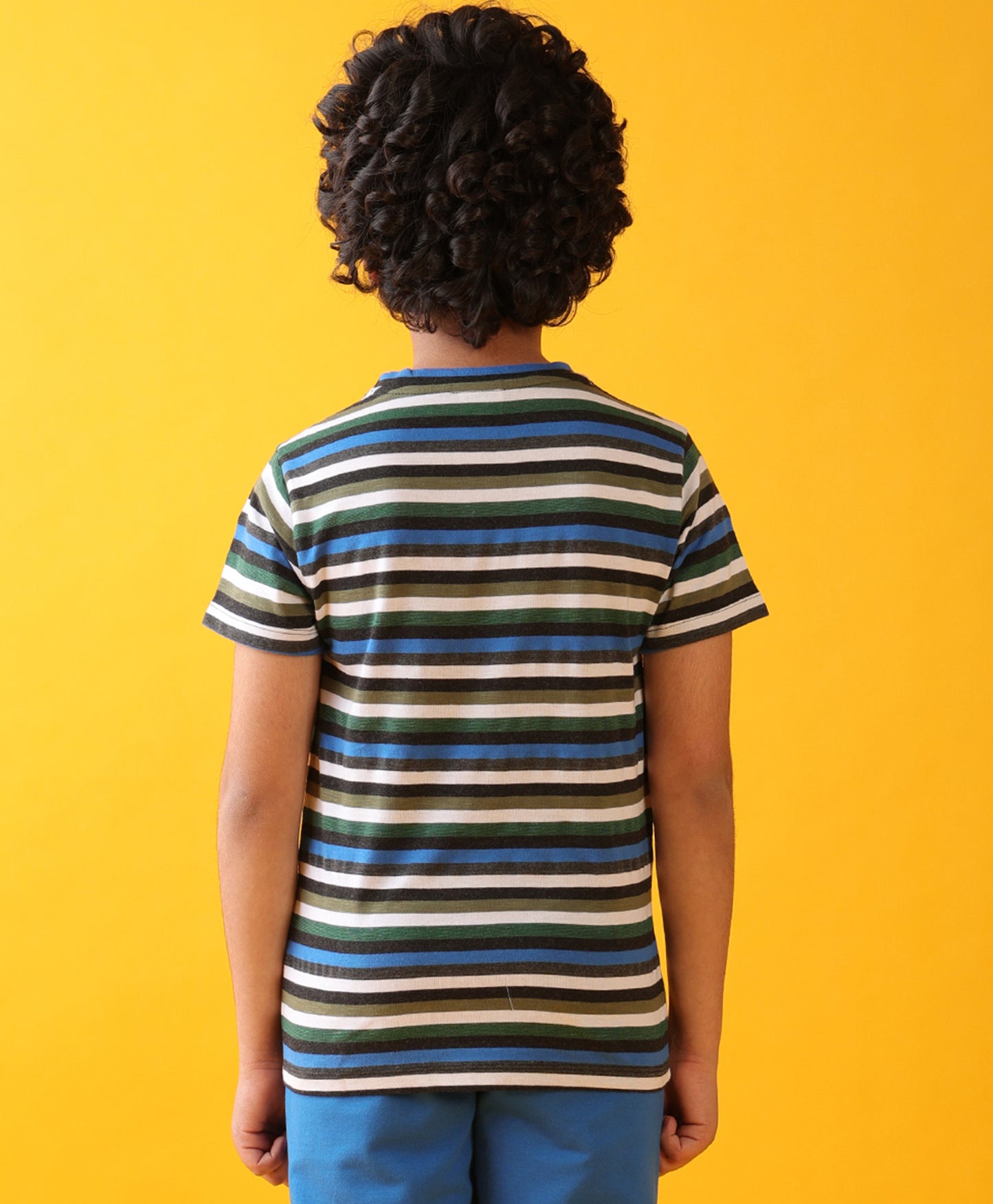 BLUE GREEN WHITE STRIPED BOYS SHORT SLEEVES T-SHIRT - MULTI