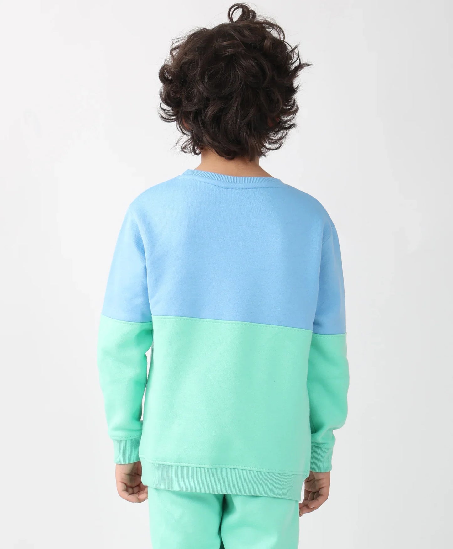 BLUE GREEN COLOR BLOCK BOYS FLEECE SWEATSHIRT - BLUE/GREEN