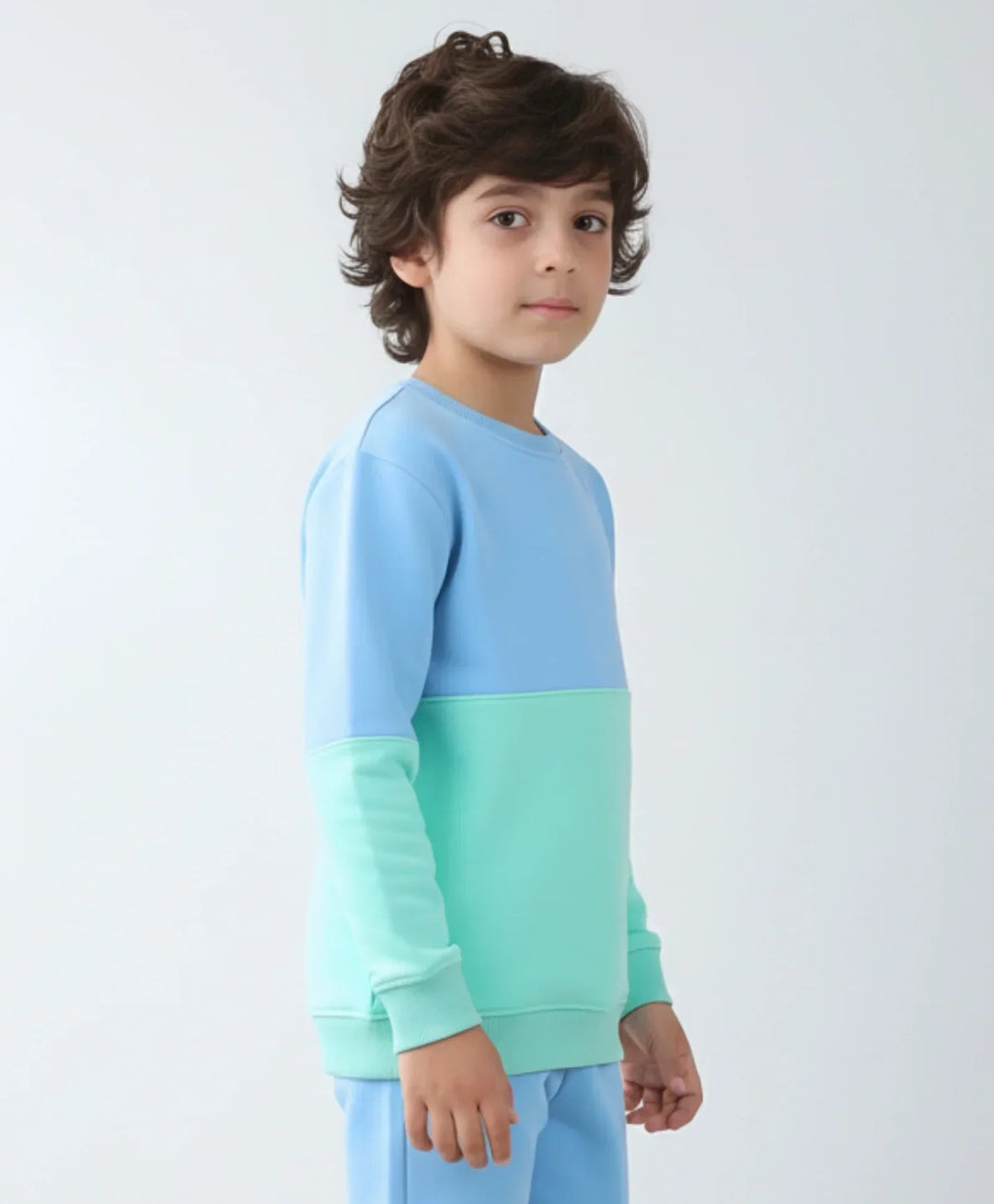 BLUE GREEN COLOR BLOCK BOYS FLEECE SWEATSHIRT - BLUE/GREEN - Anthrilo 