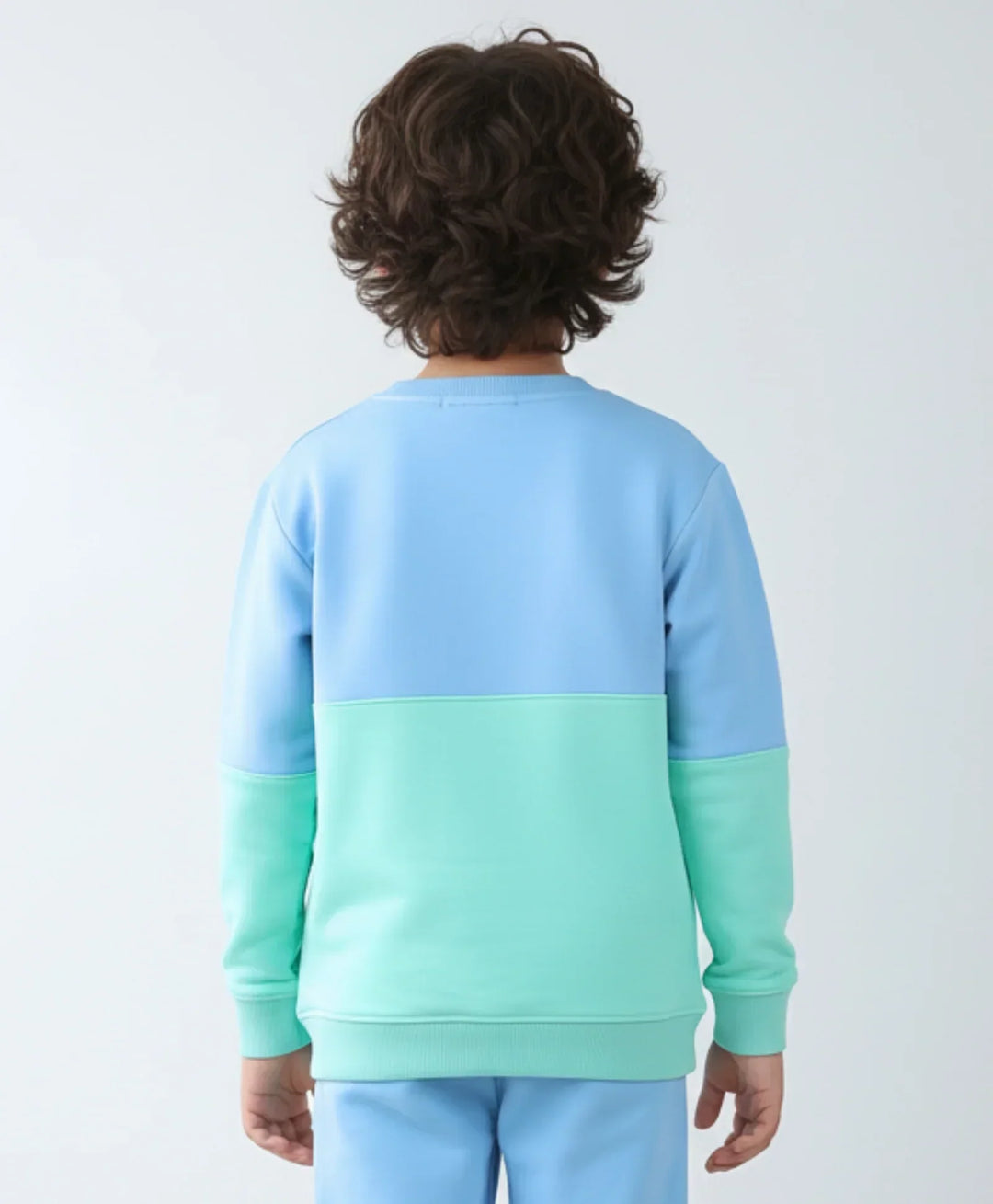 BLUE GREEN COLOR BLOCK BOYS FLEECE SWEATSHIRT - BLUE/GREEN - Anthrilo 