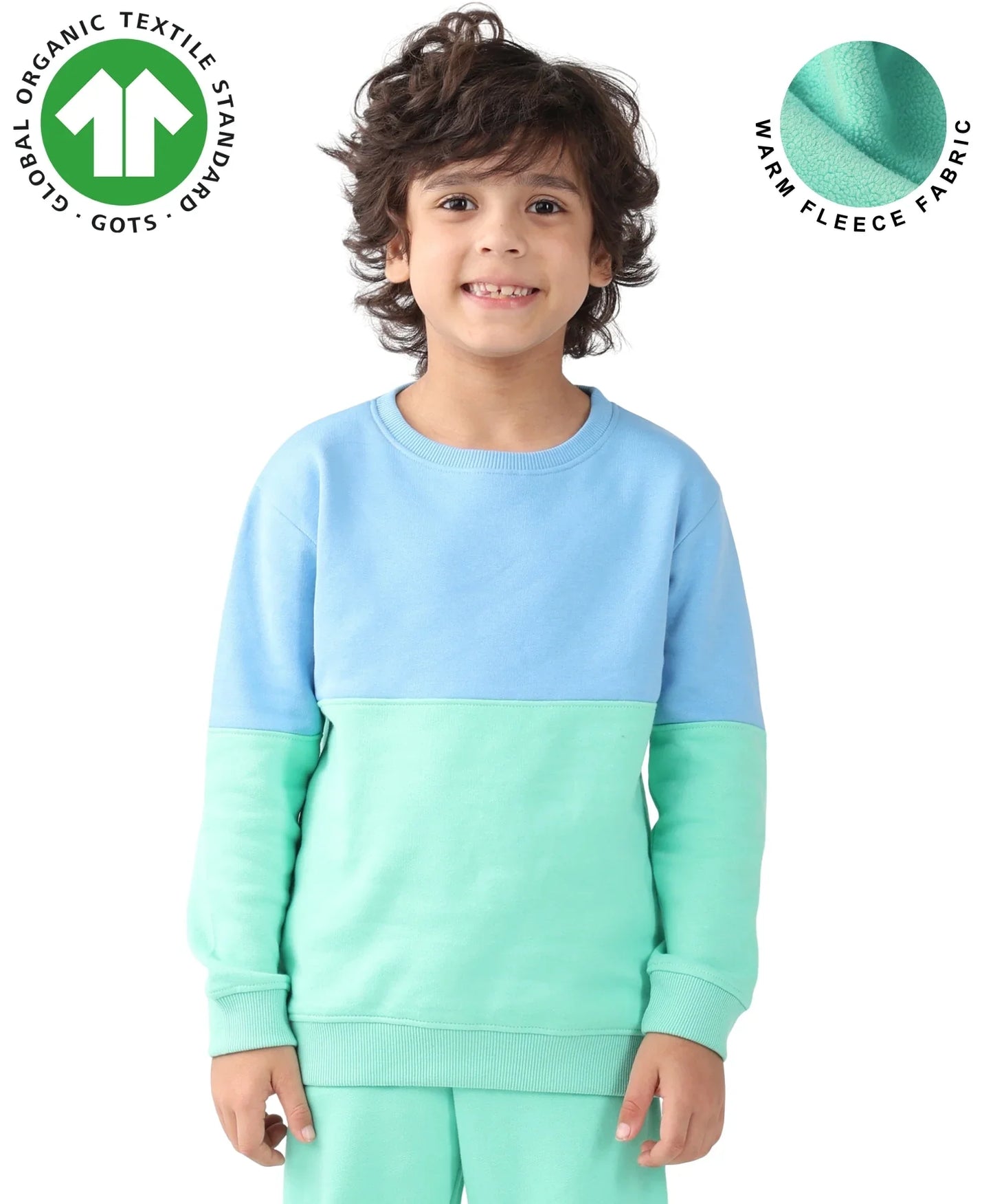 BLUE GREEN COLOR BLOCK BOYS FLEECE SWEATSHIRT - BLUE/GREEN