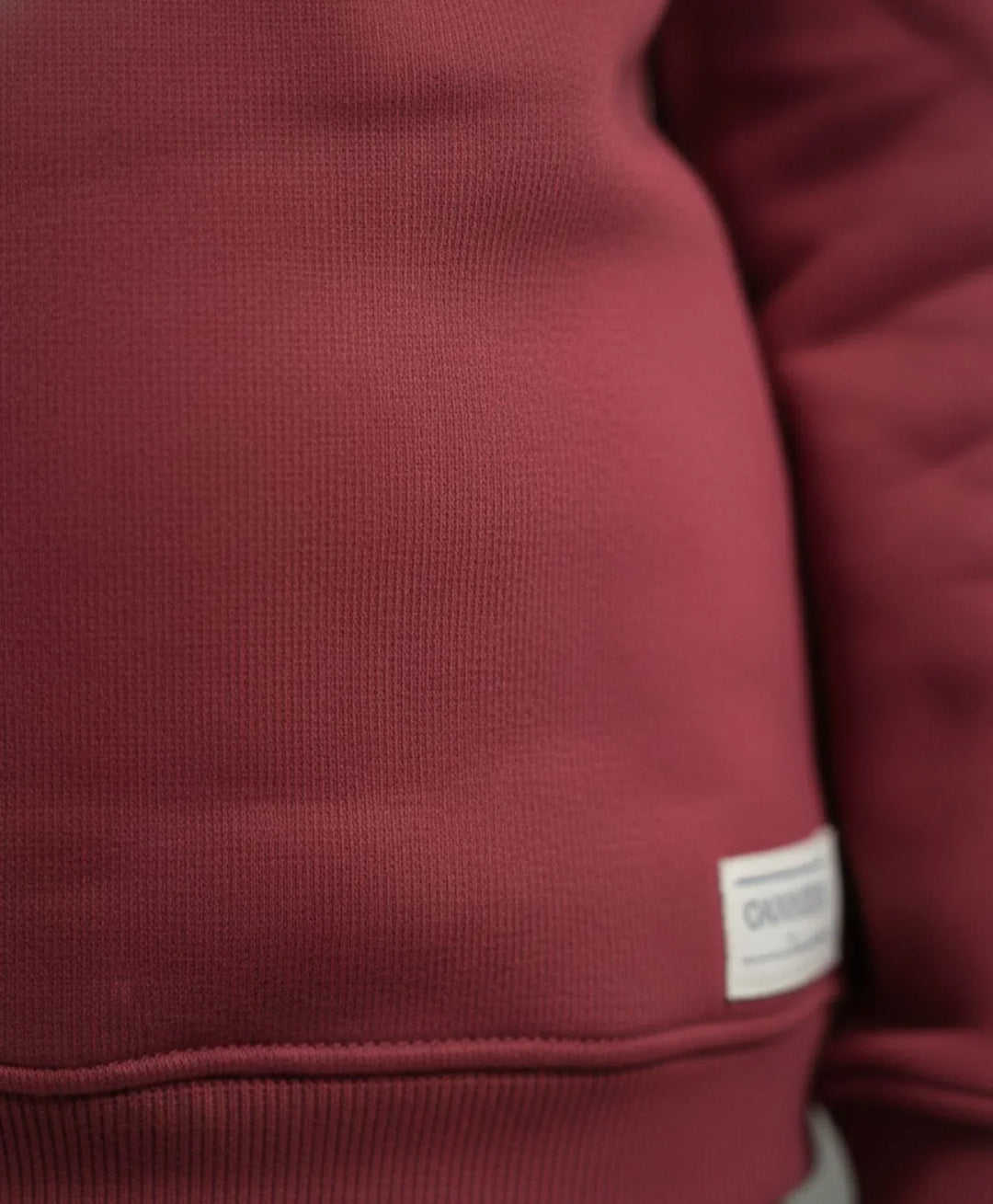 BEYOND BASIC GIRLS FLEECE SWEATSHIRT - WINE - Anthrilo 