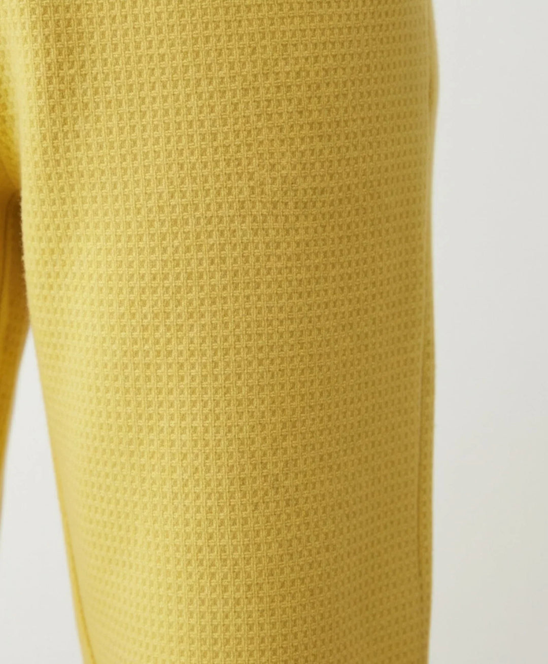 Sunny Yellow Boys Jogger - Yellow