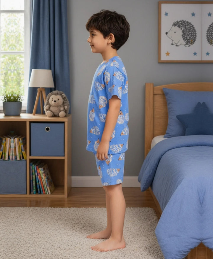 Hedgehog Boys Sleepwear Short Set - Blue