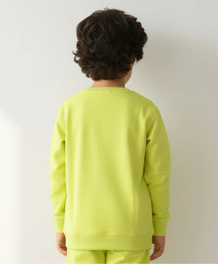 PLANET B BOYS SWEATSHIRT (FLEECE) - Anthrilo 