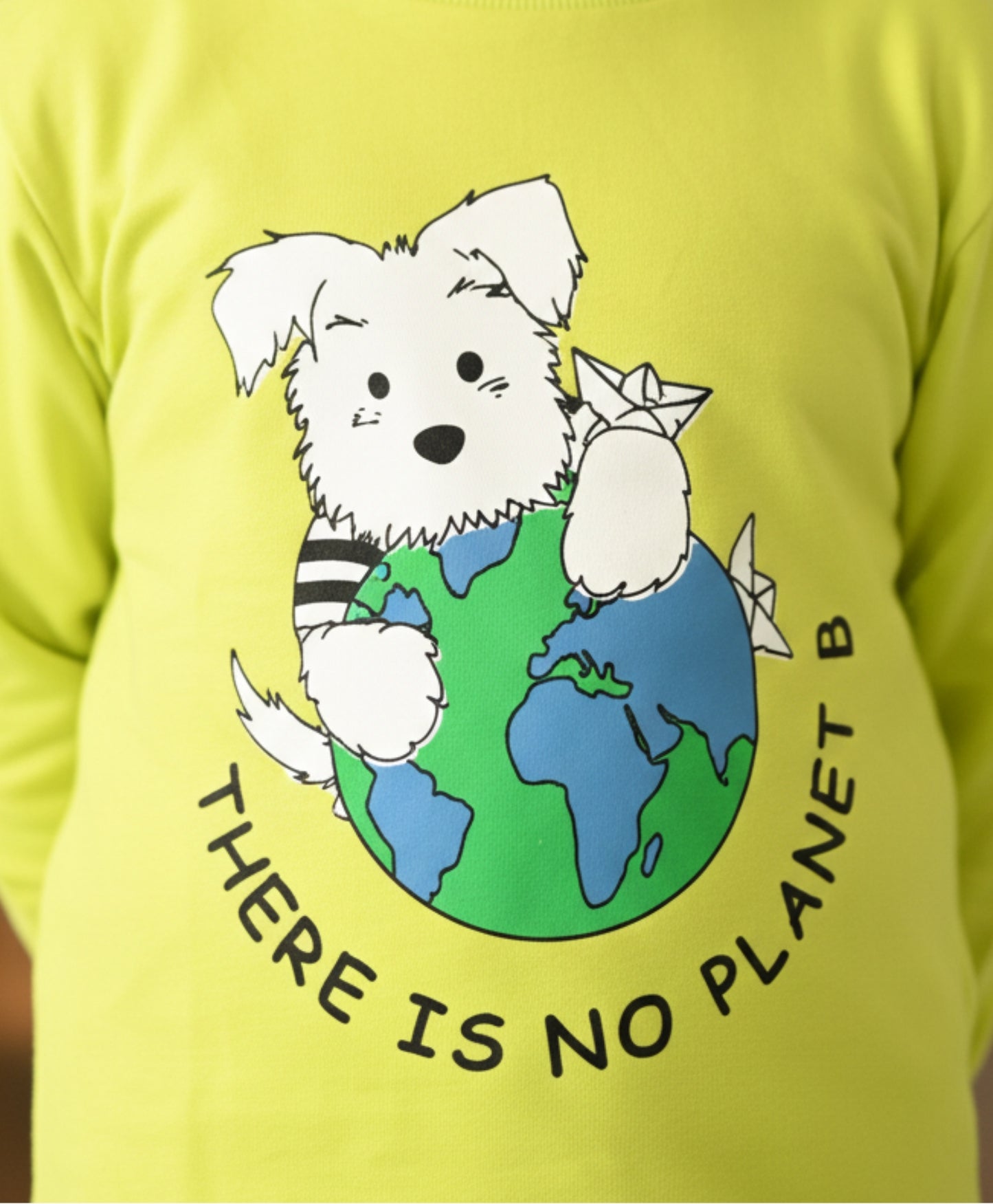 PLANET B BOYS SWEATSHIRT (FLEECE)