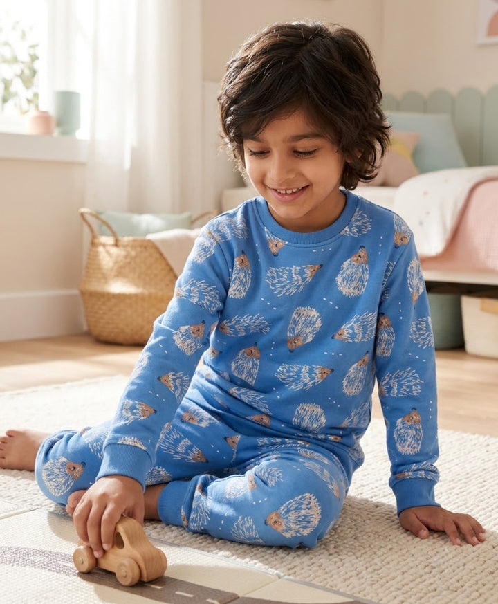 HEDGEHOG FLEECE SWEATSHIRT JOGGER SET  - SKY